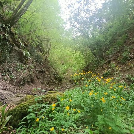 Il Borgo Dei Molini Bed & Breakfast Torreglia Dış mekan fotoğraf