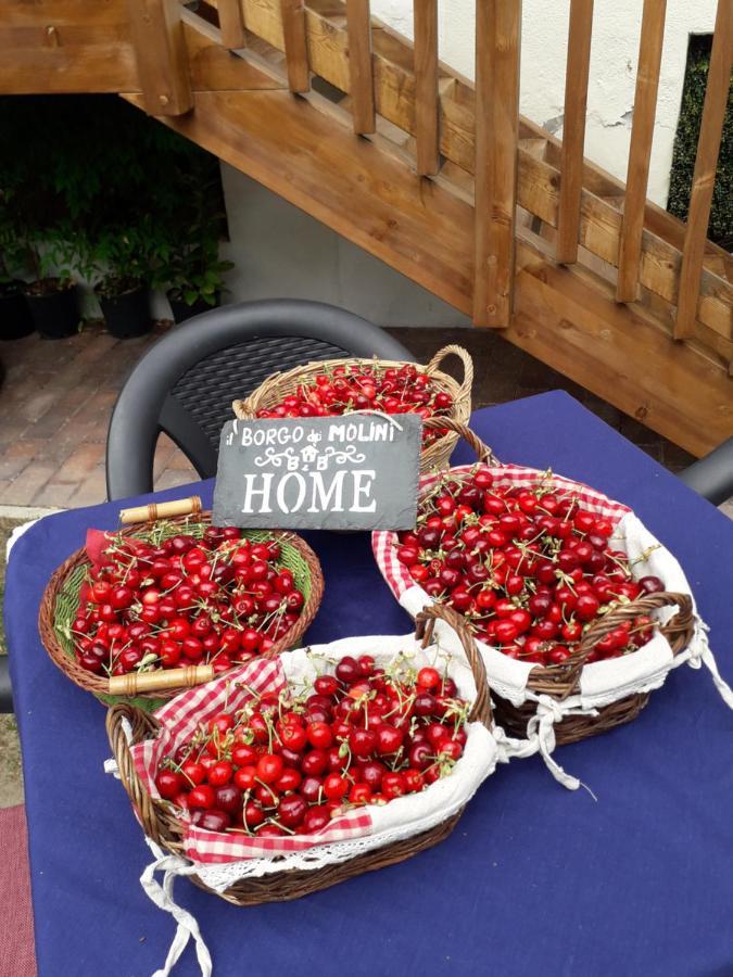 Il Borgo Dei Molini Bed & Breakfast Torreglia Dış mekan fotoğraf