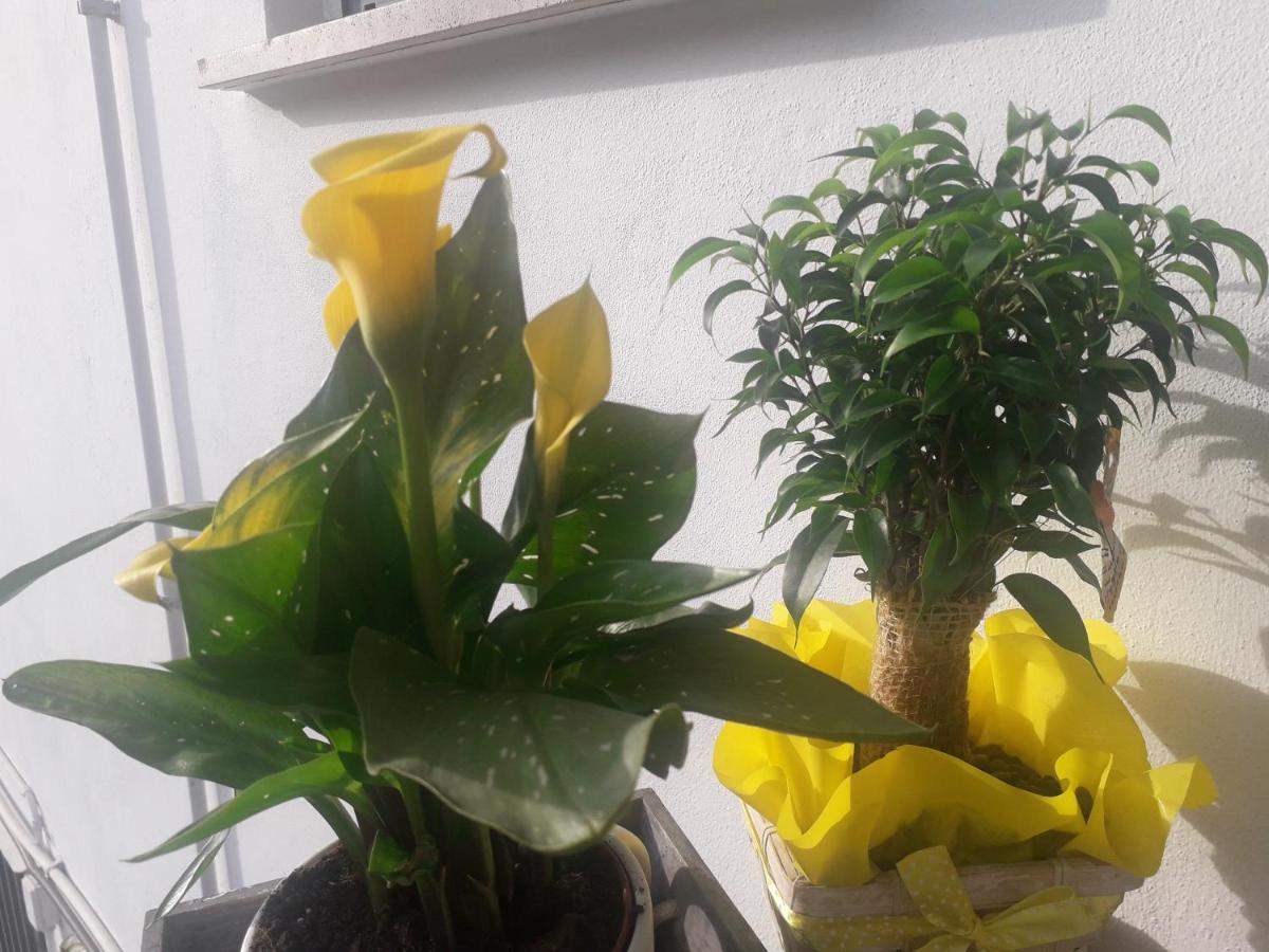Il Borgo Dei Molini Bed & Breakfast Torreglia Dış mekan fotoğraf